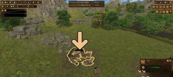 如何合理种植人类黎明粮食（探讨粮食种植上限）