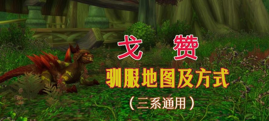 魔兽世界宠物升级的方法是什么？