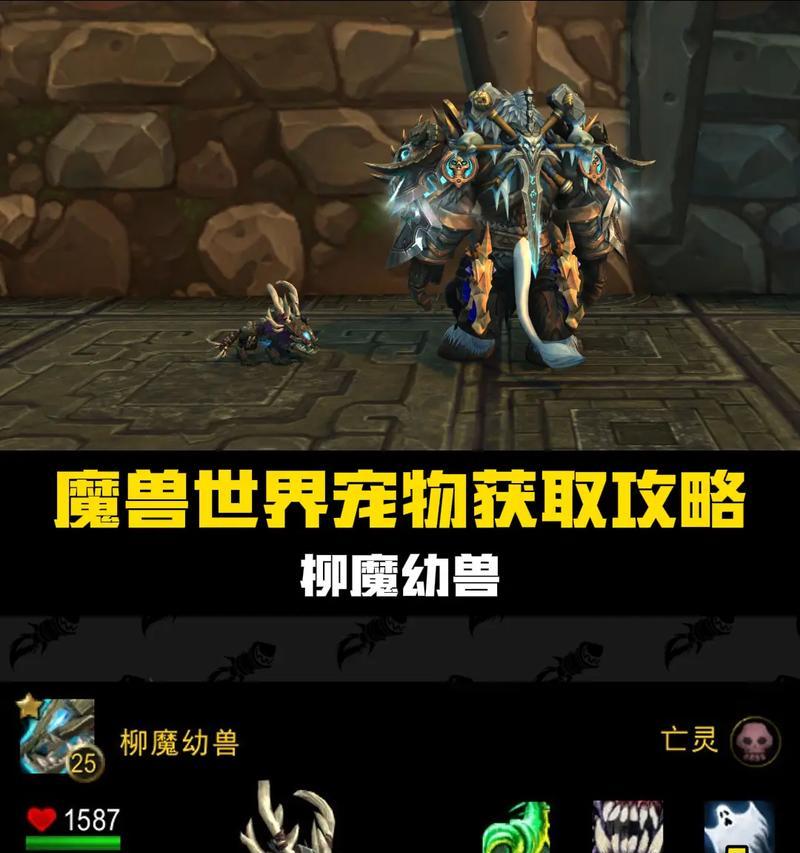 如何获得魔兽世界中的必刷玩具宠物？