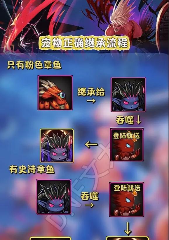 地下城与勇士竞技场宠物升级技巧有哪些？