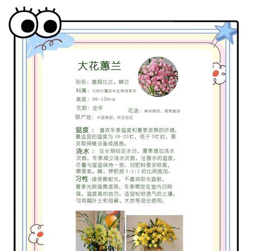 小花与大花的搭配策略是什么？